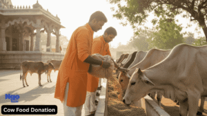 Cow Food Donation